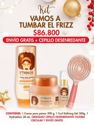 Kit Vamos a Tumbar el Frizz ETNIKER